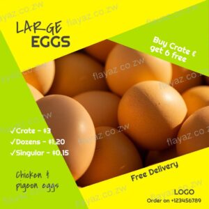 Egg Sale 1