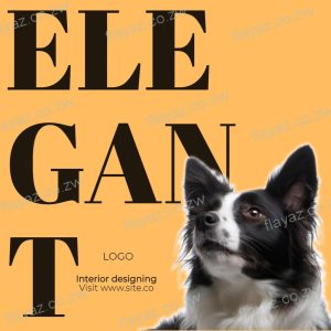 Elegant Interior Design