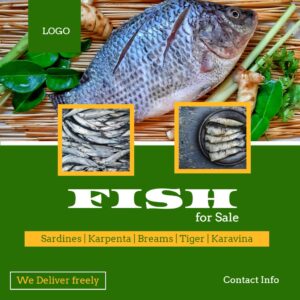 Fish Sale 4