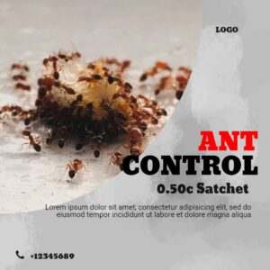 Pest Ant Control Square