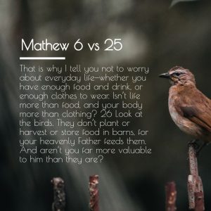 Bible Verse Elegant Square