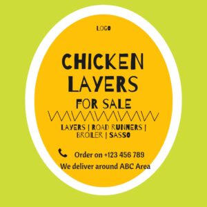 Chicken Layers Sale Green Gold Square