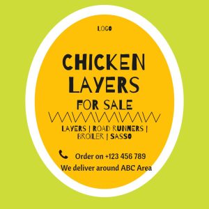Chicken Layers Sale Green Gold Square