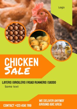 Chicken Sale Green Orange Flyer
