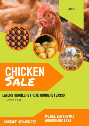 Chicken Sale Green Orange Flyer