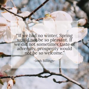 Motivational Quote Flowers White Overlay Square