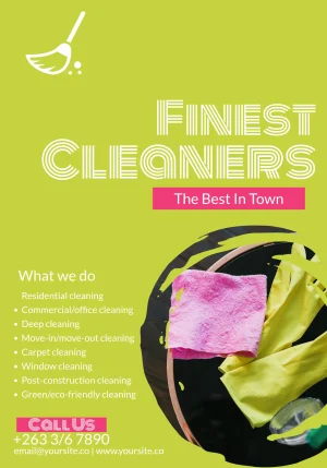 Professional Cleaning Services Flyer