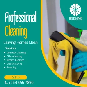 Professional Cleaning Services Teal Yellow Gold Curvy Square Flyer