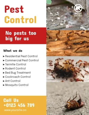 Pest Control Red Yellow Flyer
