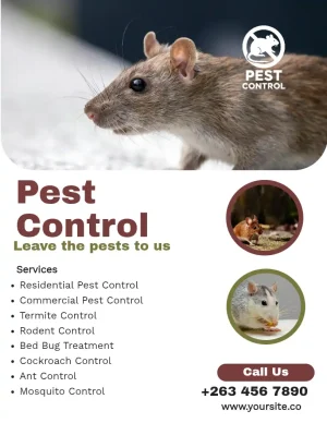 Pest control services flyer