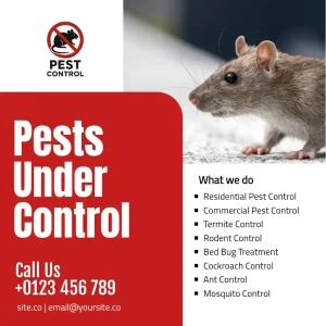 Pest Control Services Red Flyer Square