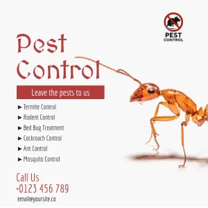 Pest Control Simple Flyer Square