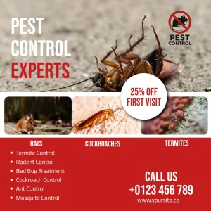 Pest control services showcase red flyer square
