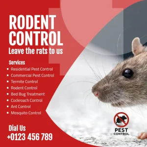 Rat Control Services Red Flyer Square