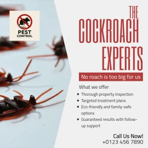 Cockroach Control Experts Square Flyer