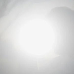 White prayer church background