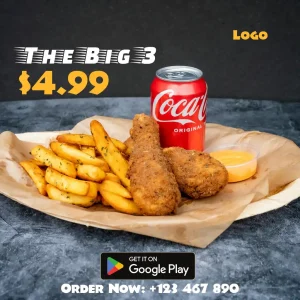 Chicken Fries Fast Food Bold Full Picture Square